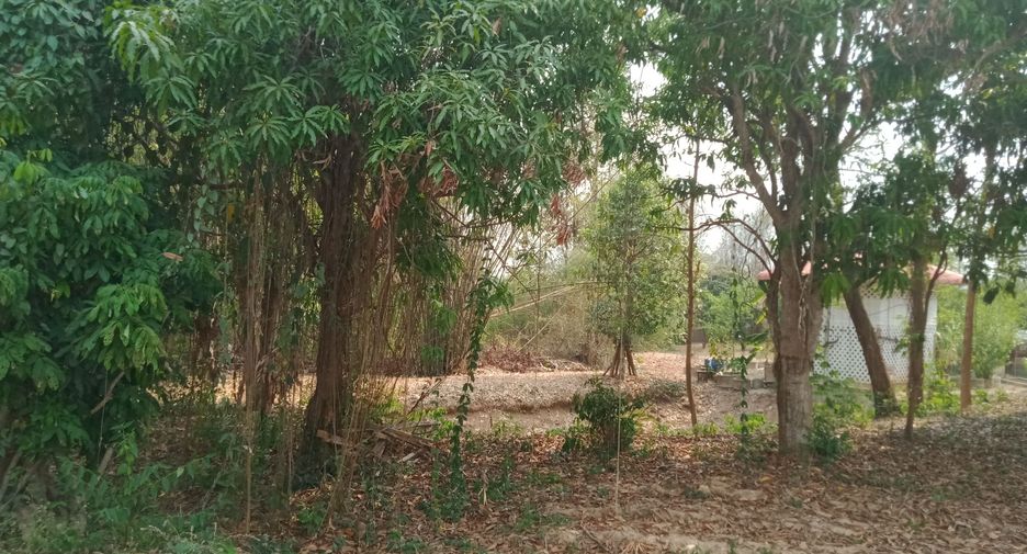 Grundstück zum Kauf in Hang Chat, Lampang