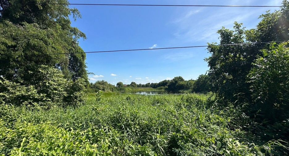 出售 土地 在 Khlong Khuean, Chachoengsao
