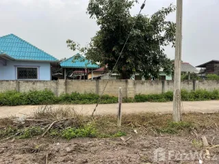 For sale land in Wiang Pa Pao, Chiang Rai