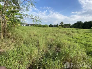 出售 土地 在 Mueang Phetchabun, Phetchabun