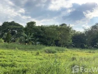 出售 土地 在 Mueang Phetchabun, Phetchabun
