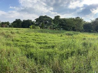 出售 土地 在 Mueang Phetchabun, Phetchabun