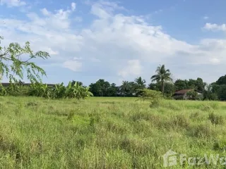 出售 土地 在 Mueang Phetchabun, Phetchabun