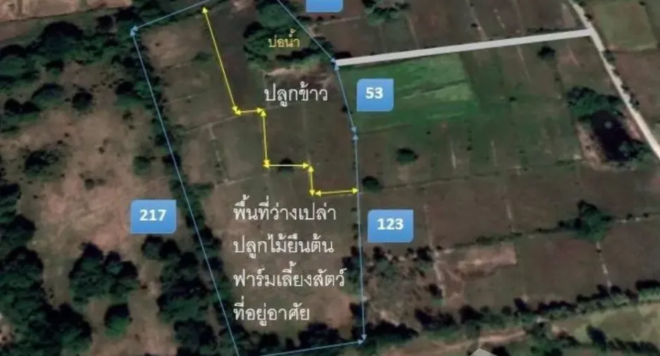 For sale land in Kantharawichai, Maha Sarakham