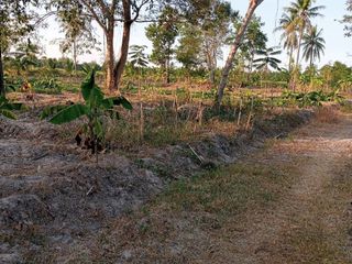 出售 土地 在 Tha Yang, Phetchaburi