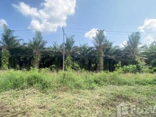 For sale land in Bang Saphan Noi, Prachuap Khiri Khan