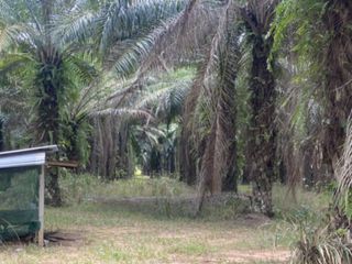 For sale land in Bang Saphan Noi, Prachuap Khiri Khan