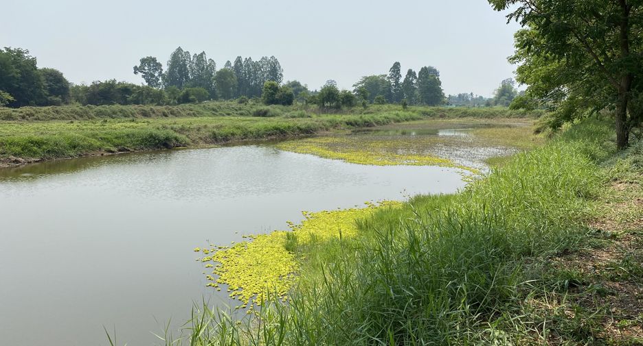For sale land in Manorom, Chainat