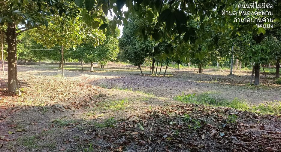 For sale land in Ban Khai, Rayong