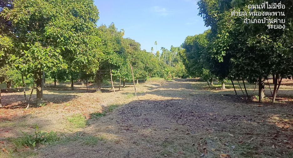 For sale land in Ban Khai, Rayong