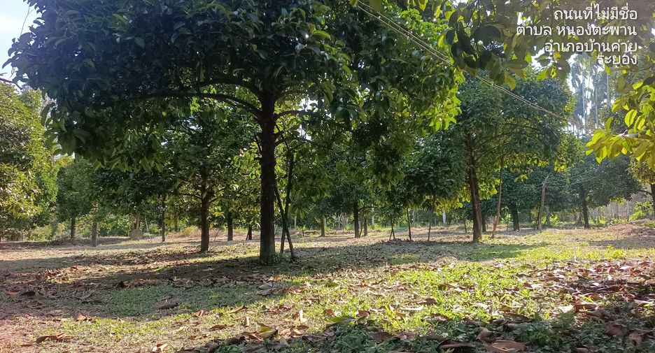 For sale land in Ban Khai, Rayong