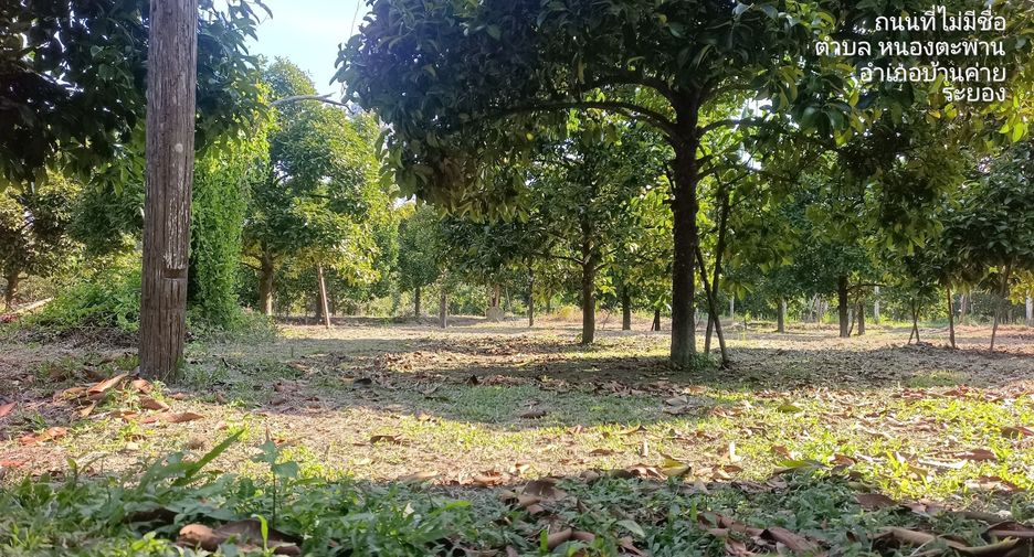 For sale land in Ban Khai, Rayong