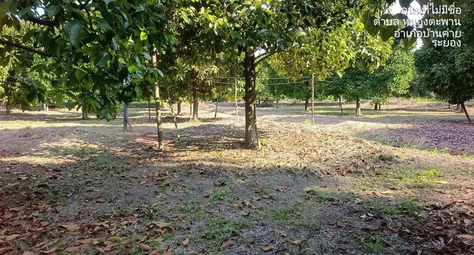 For sale land in Ban Khai, Rayong
