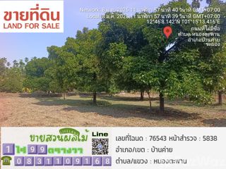 出售 土地 在 Ban Khai, Rayong