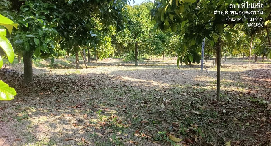 For sale land in Ban Khai, Rayong