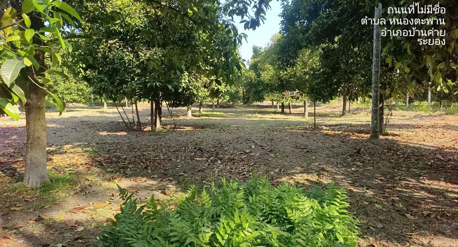 For sale land in Ban Khai, Rayong