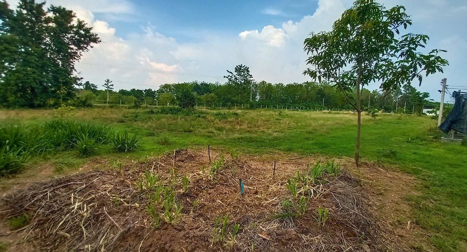 Grundstück zum Kauf in Mae Tha, Lampang