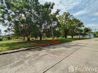 For sale land in Sam Khok, Pathum Thani