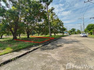 For sale land in Sam Khok, Pathum Thani