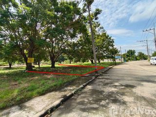 For sale land in Sam Khok, Pathum Thani