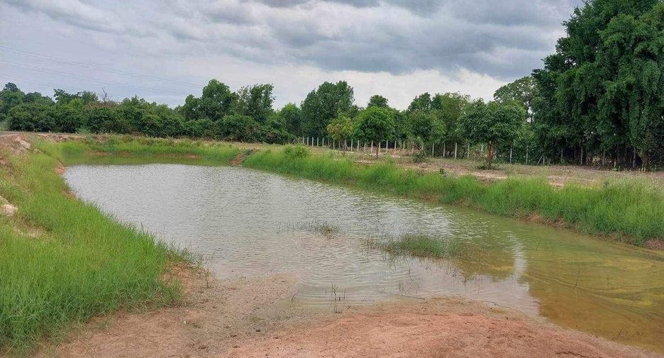 For sale land in Mueang Phitsanulok, Phitsanulok