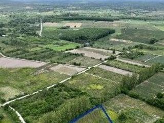 Продажа Участок в Suan Phueng, Ратбури