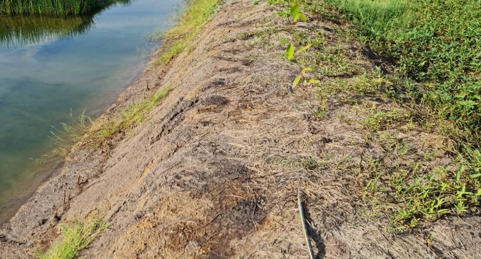 Terreno en venta en Sena, Phra Nakhon Si Ayutthaya