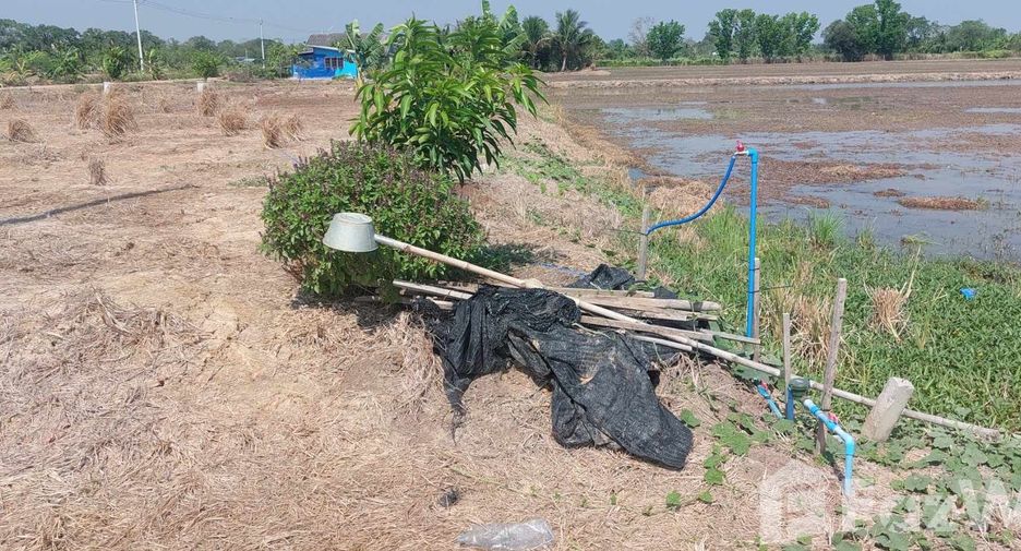 For sale land in Nong Suea, Pathum Thani