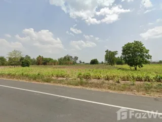 出售 土地 在 Noen Kham, Chai Nat