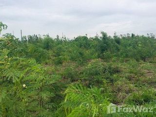 ขาย ที่ดิน ใน ลาดบัวหลวง, พระนครศรีอยุธยา