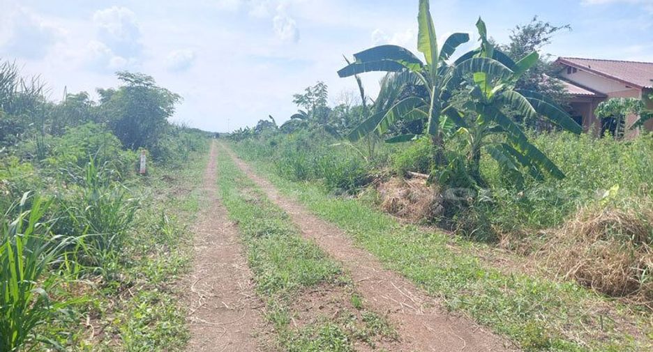 ขาย ที่ดิน ใน ลาดหลุมแก้ว, ปทุมธานี