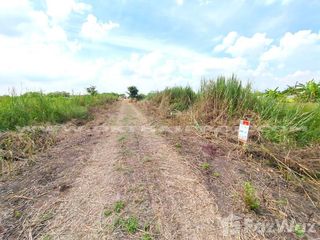 For sale land in Lat Lum Kaeo, Pathum Thani