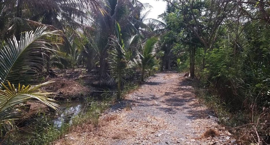 For sale land in Amphawa, Samut Songkhram