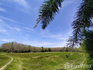 For sale land in Tha Sala, Nakhon Si Thammarat