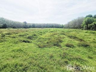 For sale land in Tha Sala, Nakhon Si Thammarat
