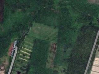 For sale land in Tha Sala, Nakhon Si Thammarat
