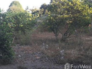 For sale land in Chai Prakan, Chiang Mai