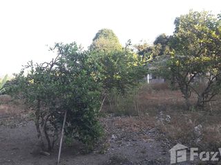 For sale land in Chai Prakan, Chiang Mai