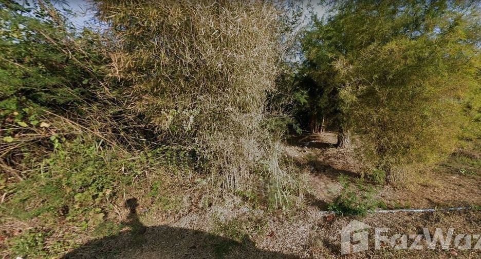 For sale land in Pak Tho, Ratchaburi