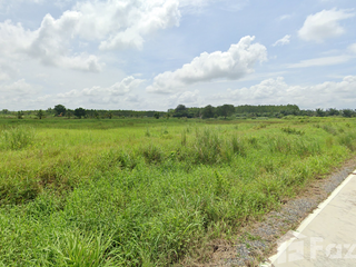 出售 土地 在 Ko Chan, Chon Buri