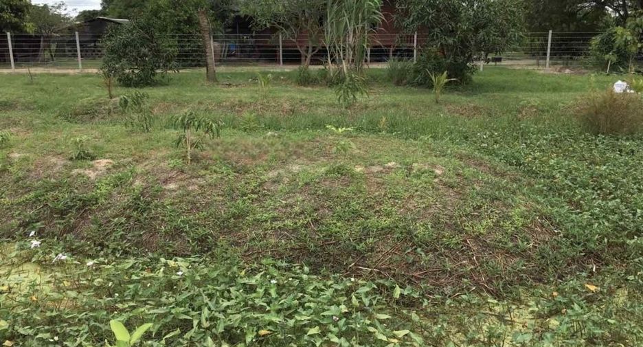 Terreno en venta en Phanat Nikhom, Chonburi