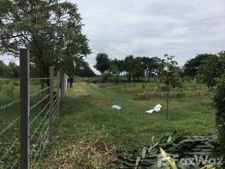 Terreno en venta en Phanat Nikhom, Chonburi
