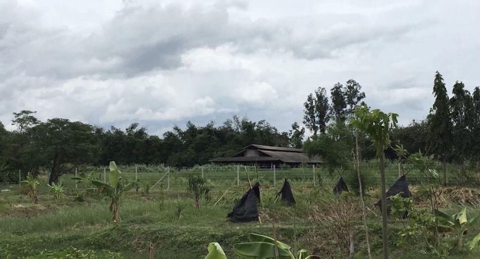 Terreno en venta en Phanat Nikhom, Chonburi