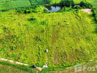 出售 土地 在 U Thong, Suphan Buri