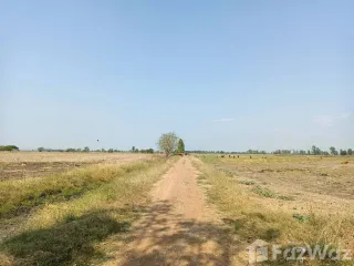 For sale land in Ban Mi, Lopburi