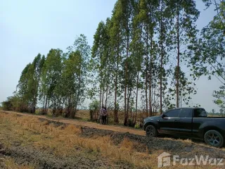 For sale land in Ban Mi, Lopburi