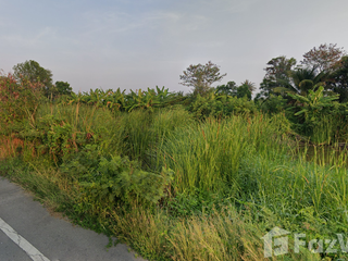 For sale land in Ban Phaeo, Samut Sakhon