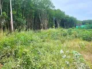 For sale land in Nikhom Phatthana, Rayong