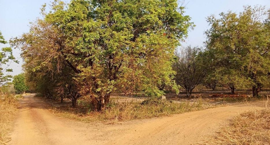 For sale land in Lom Kao, Phetchabun