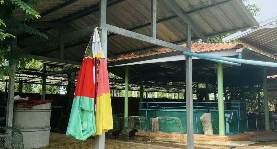 出售 土地 在 Mueang Nakhon Ratchasima, Nakhon Ratchasima